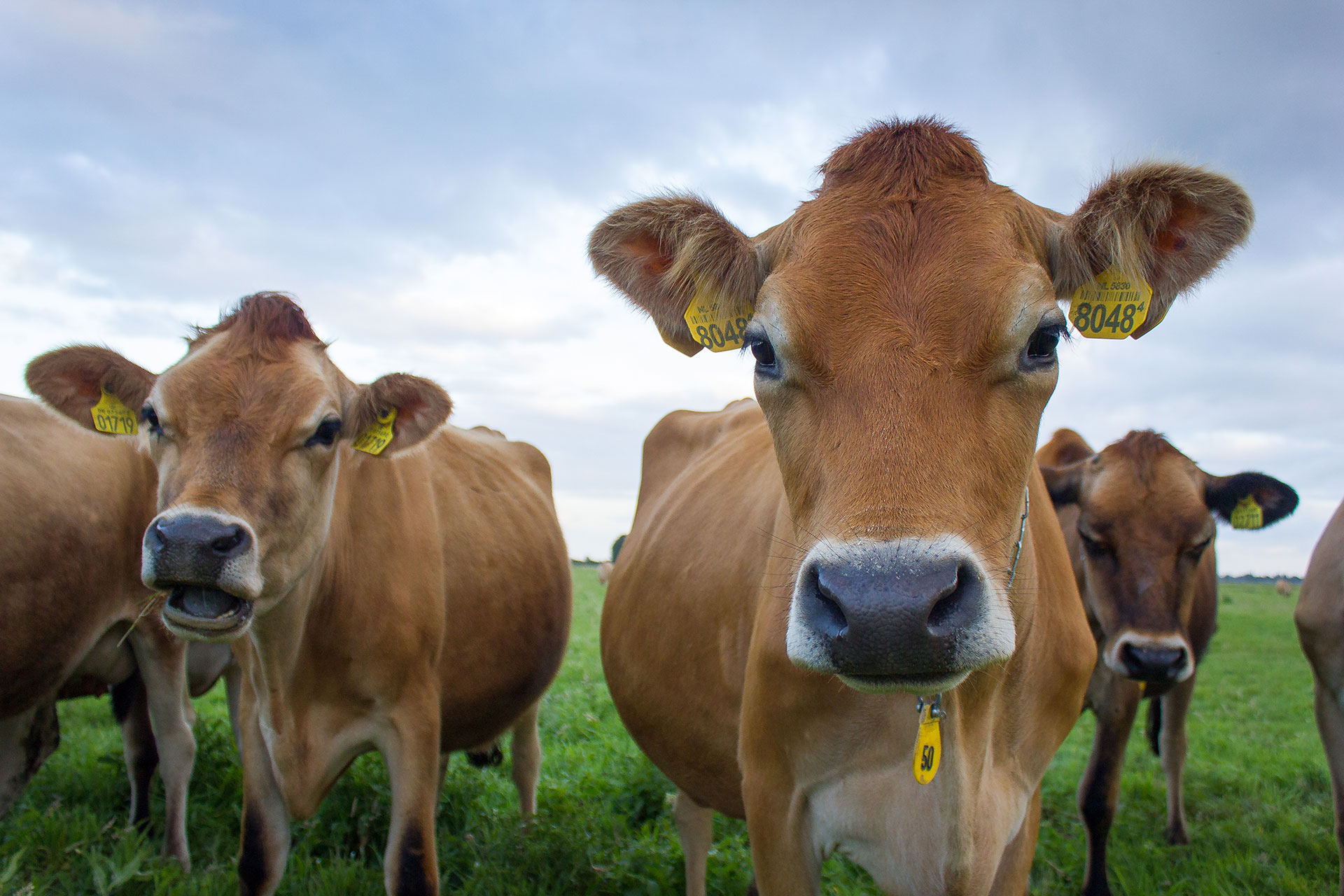 Bed and Stay Amsterdam